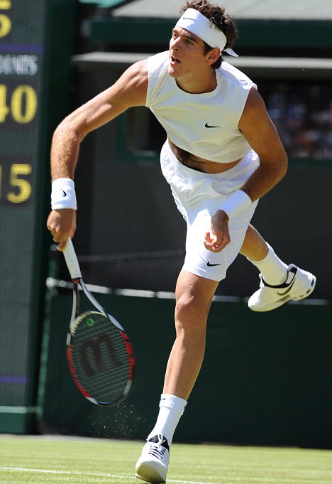 Juan Martin Del Potro.jpg